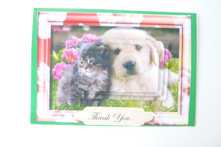 Friends Forever by Rosina Walker