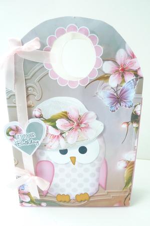 Hoot Hoot Hurray Large Gift Bag by Rosina Walker