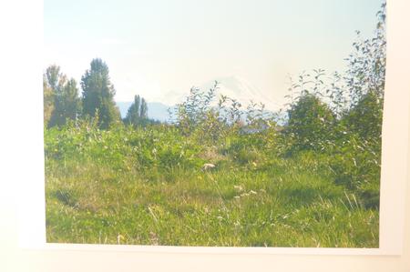 BG Mountain Top by Rosina Walker