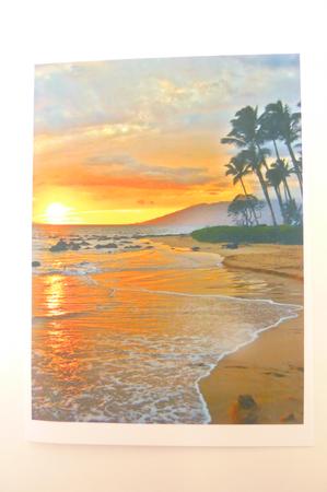 BG Shore Palms by Rosina Walker