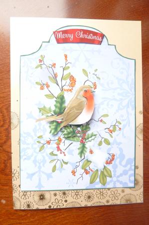 Cut and Fold Christmas Robin by Rosina Walker