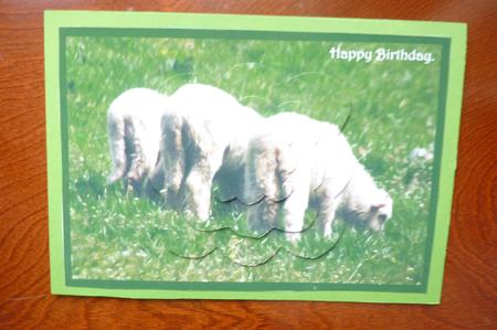 Three Little Lambs Scalloped Pyramid by Rosina Walker