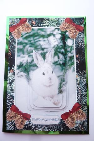 Wild Rabbit in the Snow by Rosina Walker