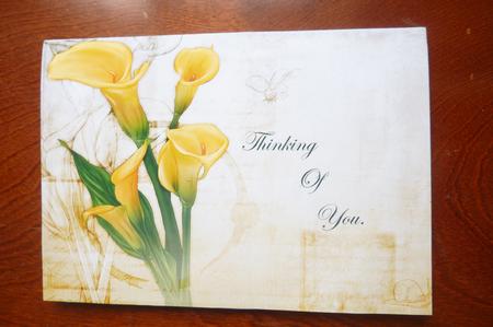 12 Sheet Wild Lily Paper Kit by Rosina Walker
