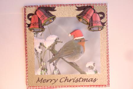 Pretty Robin in Santa Hat by Rosina Walker