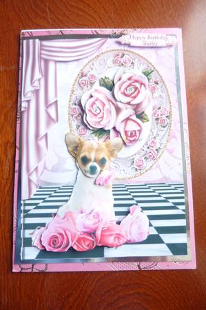 Cute Chihuahua with Pink Roses A4 by Rosina Walker