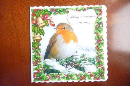 Lovely Robin Red Breast in Holly Frame with Bells 8x8 by Rosina Walker