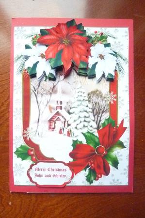 Pretty Robins in the Snow with Red Bow & Holly Pyramids by Rosina Walker