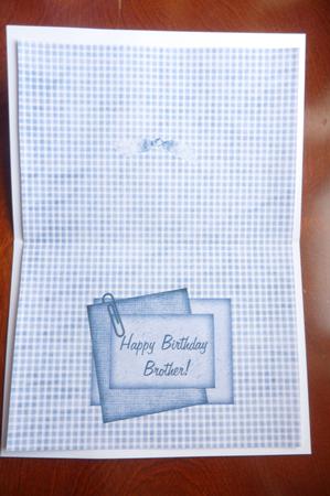 12 x A5 Luxury Male Inserts by Rosina Walker