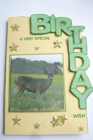 Stag Birthday Wish Card by Rosina Walker