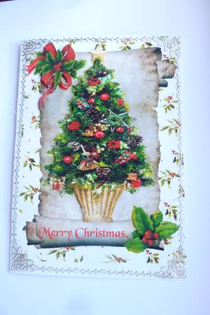 Christmas Tree with Holly on a Scroll A4 Topper by Rosina Walker