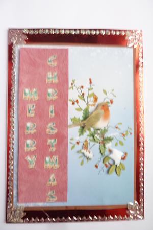 Merry Christmas Robin Step by Step with Bookmark by Rosina Walker