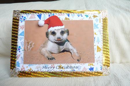 Merry Xmas Smiling Meerkat A4 Card Front by Rosina Walker