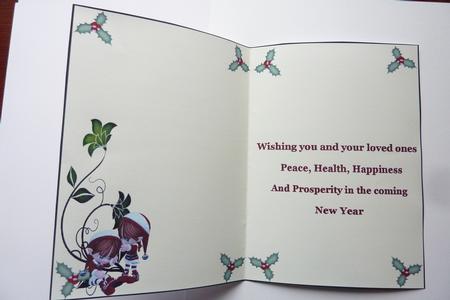 Christmas Holly Insert by Rosina Walker