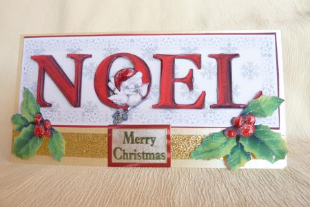 A Noel Nest Large Dl Card Front with Step by Step by Rosina Walker