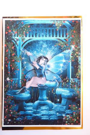 Fairy Wishes by Rosina Walker