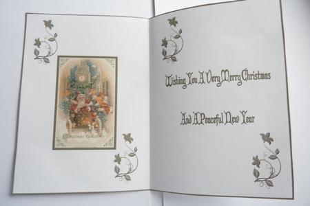 Christmas Greetings Insert by Rosina Walker