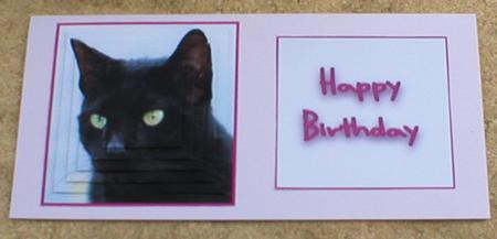 Little Black Cat by Ruth Bolger