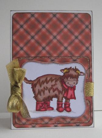 Heilan' Coo Digital Lineart by Ruth Cunliffe