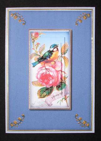 Pink Rose and Singing Bird by Ruth Hoffman