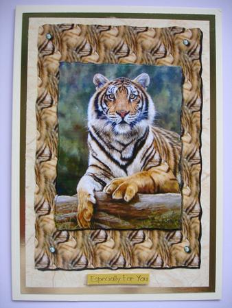 Tiger Card Front by Ruth Hoffman