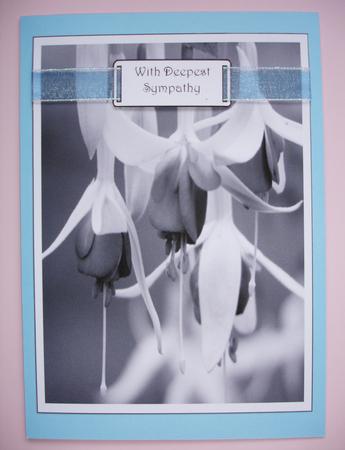 With Sympathy Design Sheet Black and White Fuschia by Ruth Hoffman