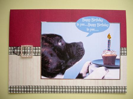 Staffordshire Bull Terrier Birthday Card by Ruth Hoffman