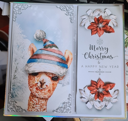 Cute Alpaca Wishes  by Ruth Mahaffey