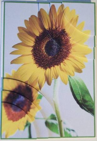 Summer Sun Flower 2 Corner Stacker by Ruth Murphy