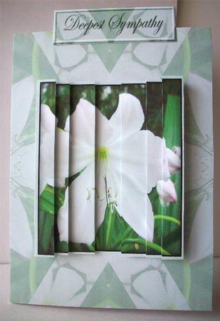 White Flower Stacker Card by Ruth Murphy