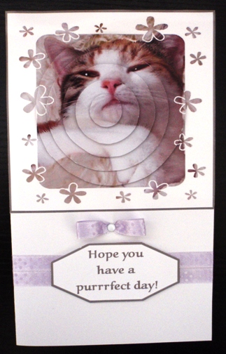 Have a Purrrfrct Day by Ruth Taylor