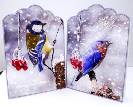Winter Garden Birds by Ruth Taylor