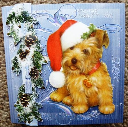 Merry Christmas from Fido by Ruth Taylor