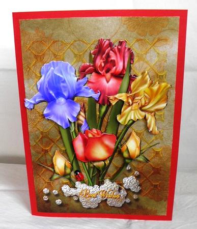 Summer Colour by Ruth Taylor