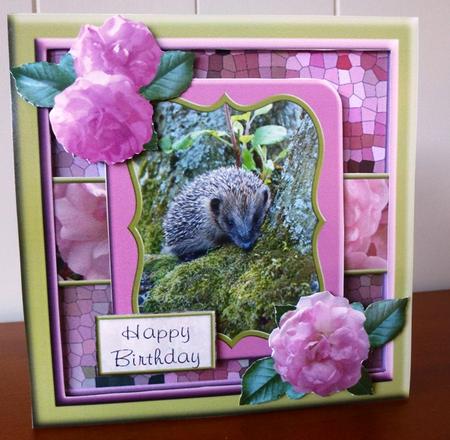 Hedgehog and Pink Roses Square Layered Topper by Ruth Taylor
