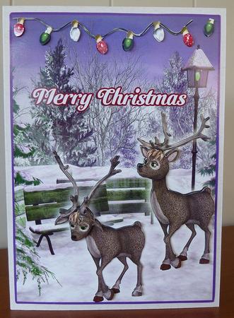 Raindeer by Ruth Taylor