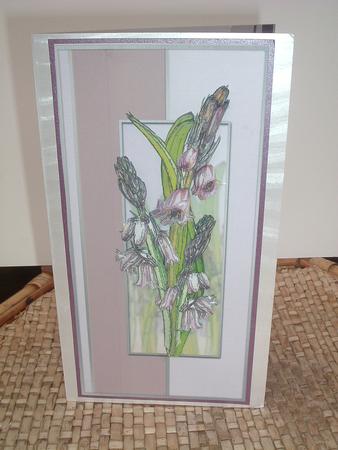 Bluebells in Salmon by Ruth Walters
