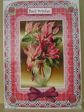 In the Pink Bloom by Ruth Walters