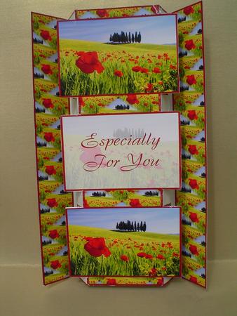 Poppy Field 3 Panel Fold Back by Ruth Walters