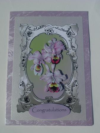 Iris in Silver Frame Happy Birthday by Ruth Walters