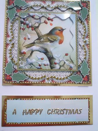Christmas Robin 1 Spiral Wavy Edge Stacker Card Front by Ruth Walters