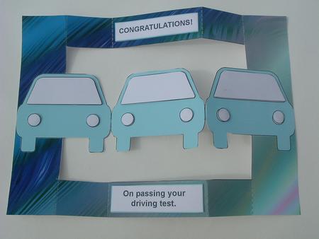 Male Driving Test Tri Shutter Card by Ruth Walters