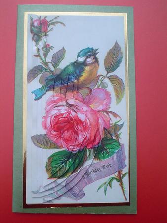 Finch and Roses with Birthday Greetings by Ruth Walters