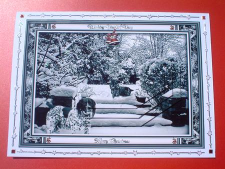 Black & White Christmas Scene by Ruth Walters