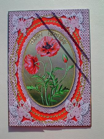 Poppies Lace Butterfly Duo Corner A5 Stacker by Ruth Walters