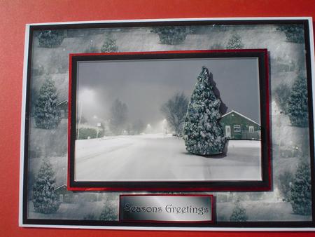 Snow Scene Quick Card by Ruth Walters
