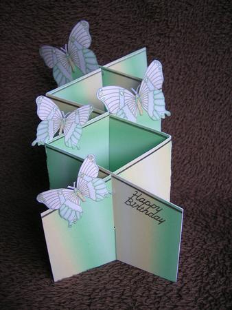 Butterfly Cascade 8 by Sabrina Eeles