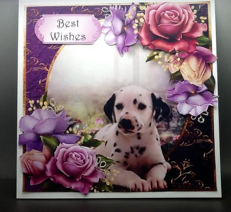 Dalmation Puppy & Beautiful Roses 8x8 by Sally Dowling