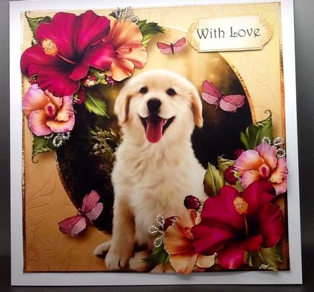 Golden Retriever Pup & Hibiscus Flowers 8x8 by Sally Dowling