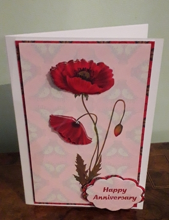 Beautiful Poppies by Sally Hickling